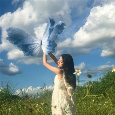 蔬菜历险记